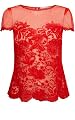 Colored Lace T-Shirt