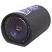 PYLE PLTB10 10-Inch 500 Watt Carpeted Subwoofer Tube