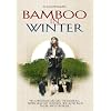 Bamboo In Winter