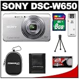 Sony Cyber-Shot DSC-W650 Digital Camera (Silver) with 8GB Card + Case + Accessory Kit