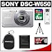 Sony Cyber-Shot DSC-W650 Digital Camera (Silver) with 8GB Card + Case + Accessory Kit