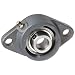 Boston Gear ST1/2 Mounted Bearing, Flange, Standard Duty, 2 Bolts, 0.5 Bore