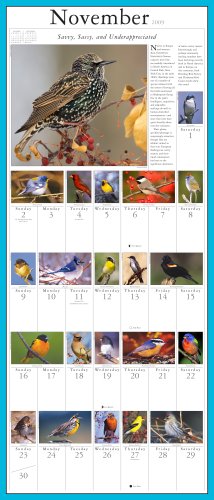 Audubon 365 Songbirds and Other Backyard Birds Picture-A-Day Calendar 2009 (Picture-A-Day Wall Calendars) under General in The Books Store