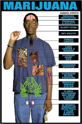 Harmful Effects of Marijuana 24 Harmful Effects of Marijuana 24