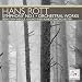 Hans Rott : Symphonie n� 1 - Oeuvres pour orchestre
