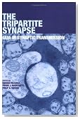 The Tripartite Synapse: Glia in Synaptic Transmission