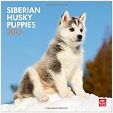 Siberian Husky Puppies 2013 - Husky-Welpen - Original BrownTrout-Kalender