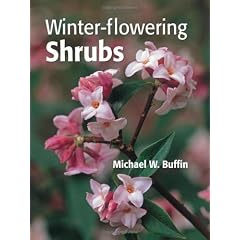 Winter-flowering Shrubs