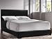 QUEEN BED -- COASTER 300260Q