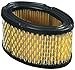 Oregon 30-100 Paper Air Filter Tecumseh Part 33268
