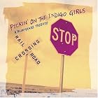 Click here to buy Pickin' on the Indigo Girls by  Various Artists .