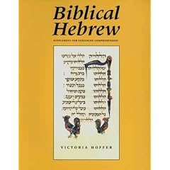 Biblical Hebrew, Second Ed. (Supplement for Advanced Comprehension)