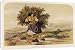 Canvas Prints of Woman Carrying Fern 1848 from Mary Evans