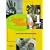 Design for Response: Creative Direct Marketing That Works