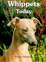 Whippets Today