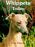 Whippets Today