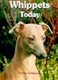 Whippets Today