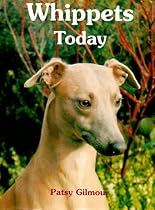 Whippets Today