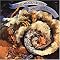 Jewels Of Progressive Rock Vol. 11