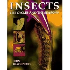 Insects: Life Cycles and the Seasons