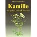 Kamille: Ein gro�es Geschenk der Natur