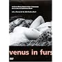 Venus in Furs