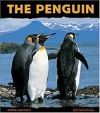 The Penguin: A Funny Bird (Animal Close-Ups)