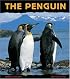 The Penguin: A Funny Bird (Animal Close-Ups)