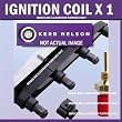 peugeot 406 coil pack