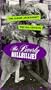 Beverly Hillbillies, Vol, 6: The Giant Jackrabbit & The Big Chicken [VHS]