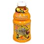 The Original Celebrity Diet Reduced Carb Two-Day Juice Fast, Citrus, 32-Ounce Bottles (Pack of 2)