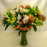 100 Blooms of Assorted Alstromeria Lily with Vase
