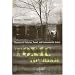 Toxic Tourism: Rhetorics of Pollution, Travel, and Environmental Justice (Rhetoric Culture & Social Critique)