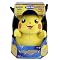 Pok�mon Plush Toys