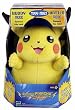 Pok Elctrnc Pikachu With Thundershck Attack