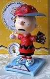 Peanuts Charlie Brown Where's Everybody