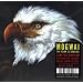 Musik Highlights 2008