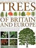 The Illustrated Encyclopedia of Trees of Britain & Europe (Illustrated Encyclopedia of...)