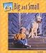 Book Big and Small (Opposites)