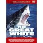 Shark Attack - The Great White