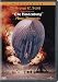 Search : The Hindenburg