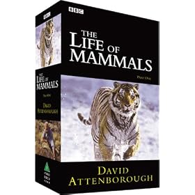 The Life Of Mammals - Part 1