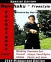Nunchaku Freestyle