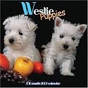 Westie Puppies 2007 Wall Calendar
