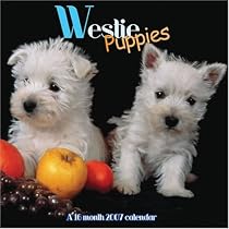 Westie Puppies 2007 Wall Calendar