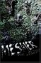 Mesmer