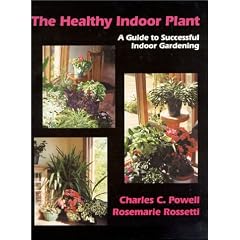Healthy Indoor Plant: A Guide to Successful Indoor Gardening