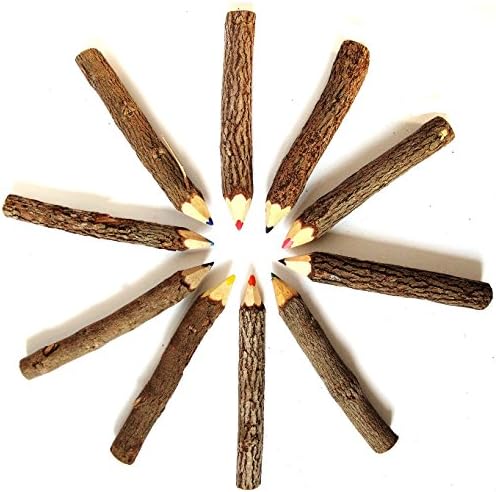 Branch & Twig Assorted Colored Pencils, 20-Pack, Approximately 3.5"L. (Free A Gift Wooden Key Chain Pencil Handmade)