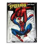 Spiderman by Hanes - Toddler Boys 3 Pack Spiderman Briefs, White, Multi