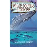 whales dolphins  porpoises nature company guides
